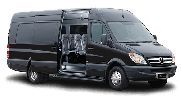 10 passenger luxury van