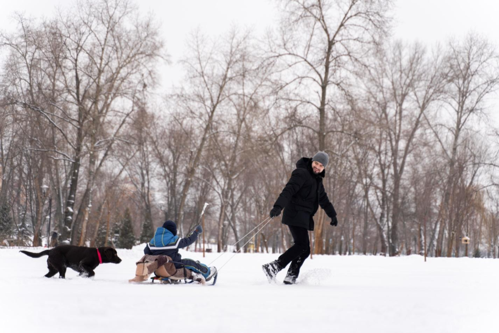 family-having-fun-snow