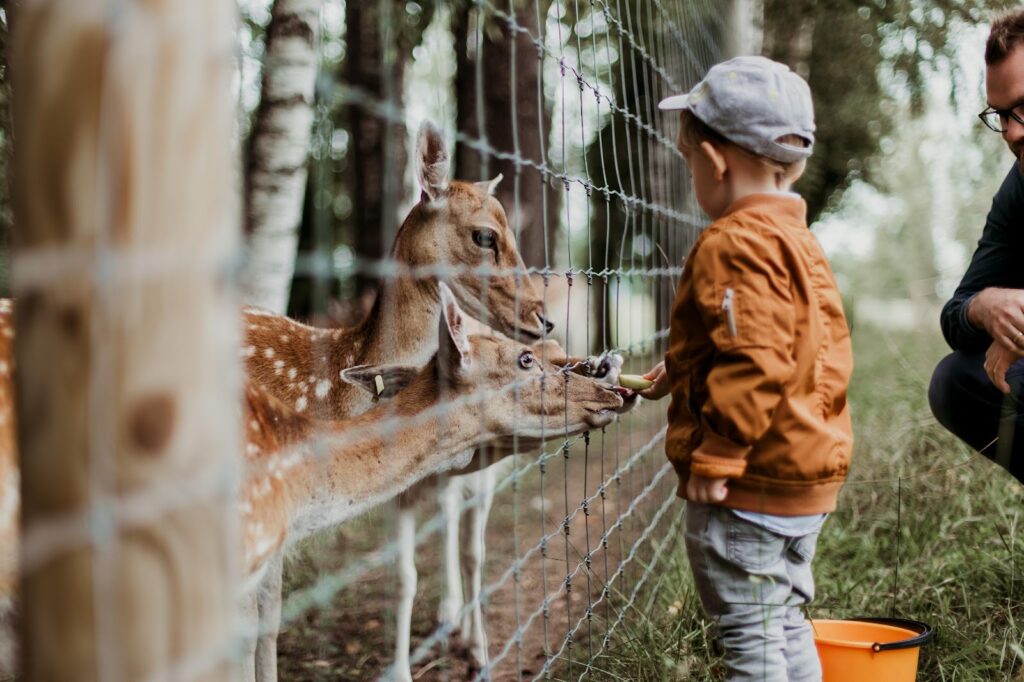 Visit to Fort worth Zoo