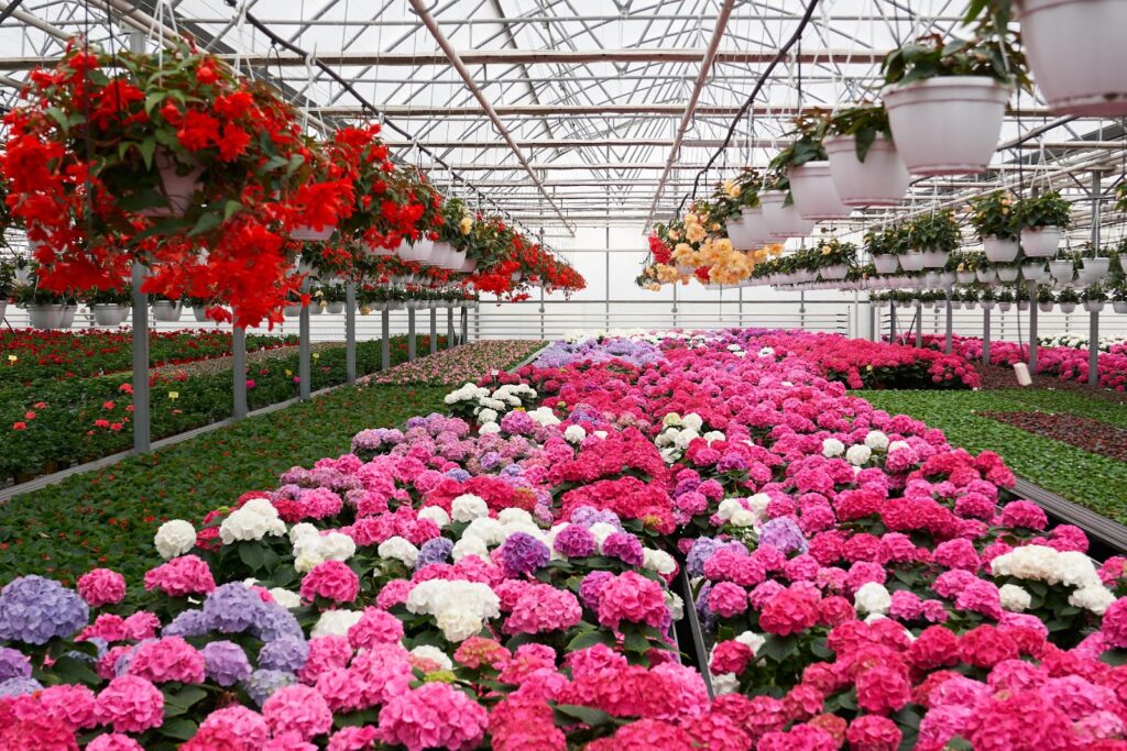 Visit to the Botanic Garden