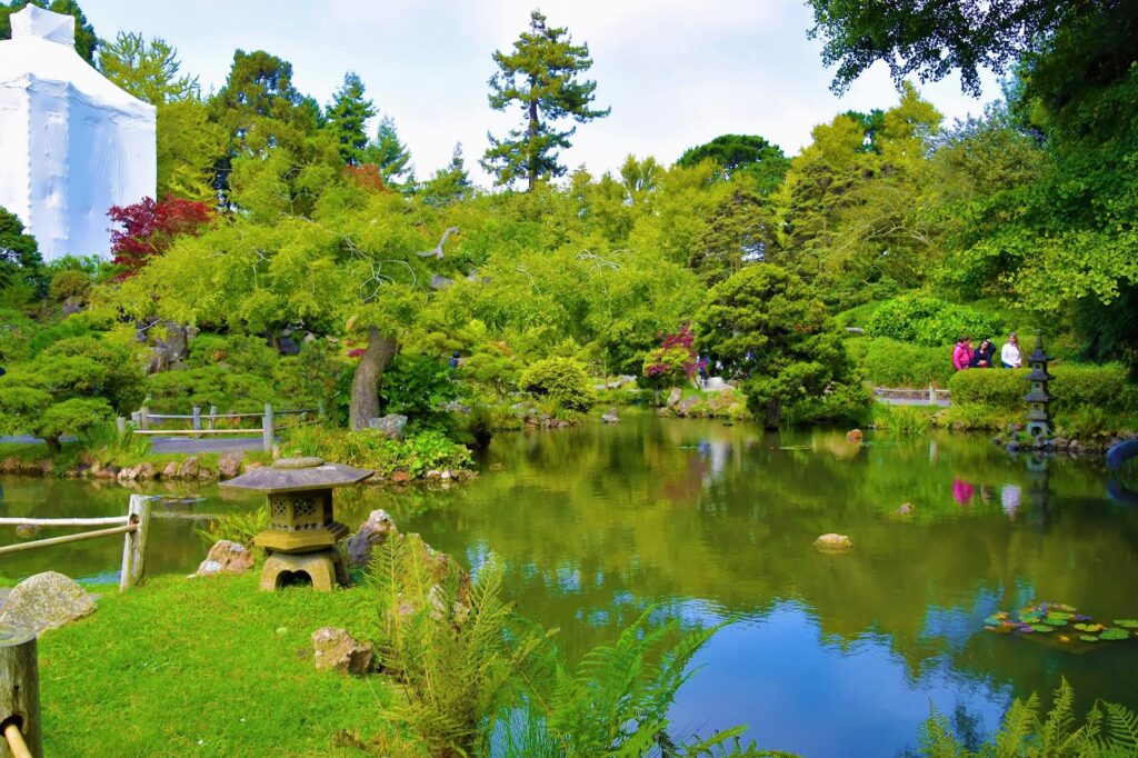 Visit to Golden Gate Park