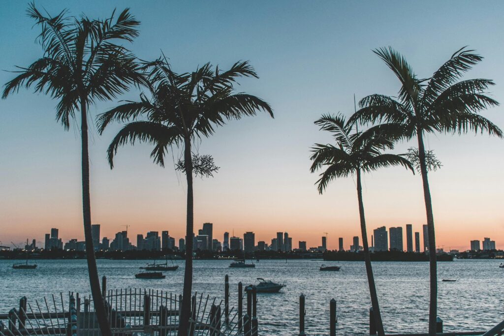 5 things to do in Florida