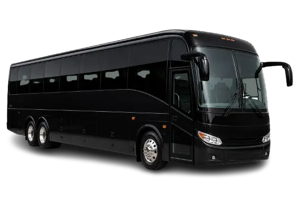 Coach Bus Executive