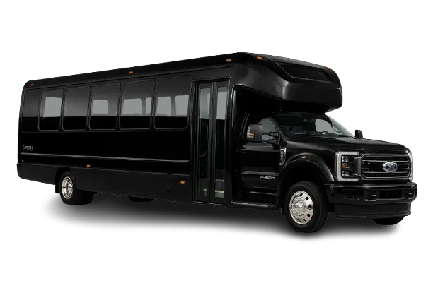 Mini Coach Bus